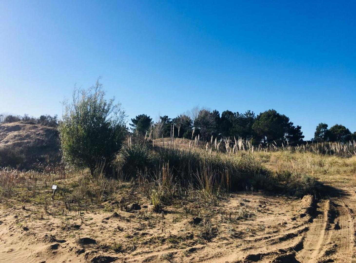 Foto de VENTA DE LOTE EN VILLA GESELL- BARRIO EL SALVAJE, imagen 4