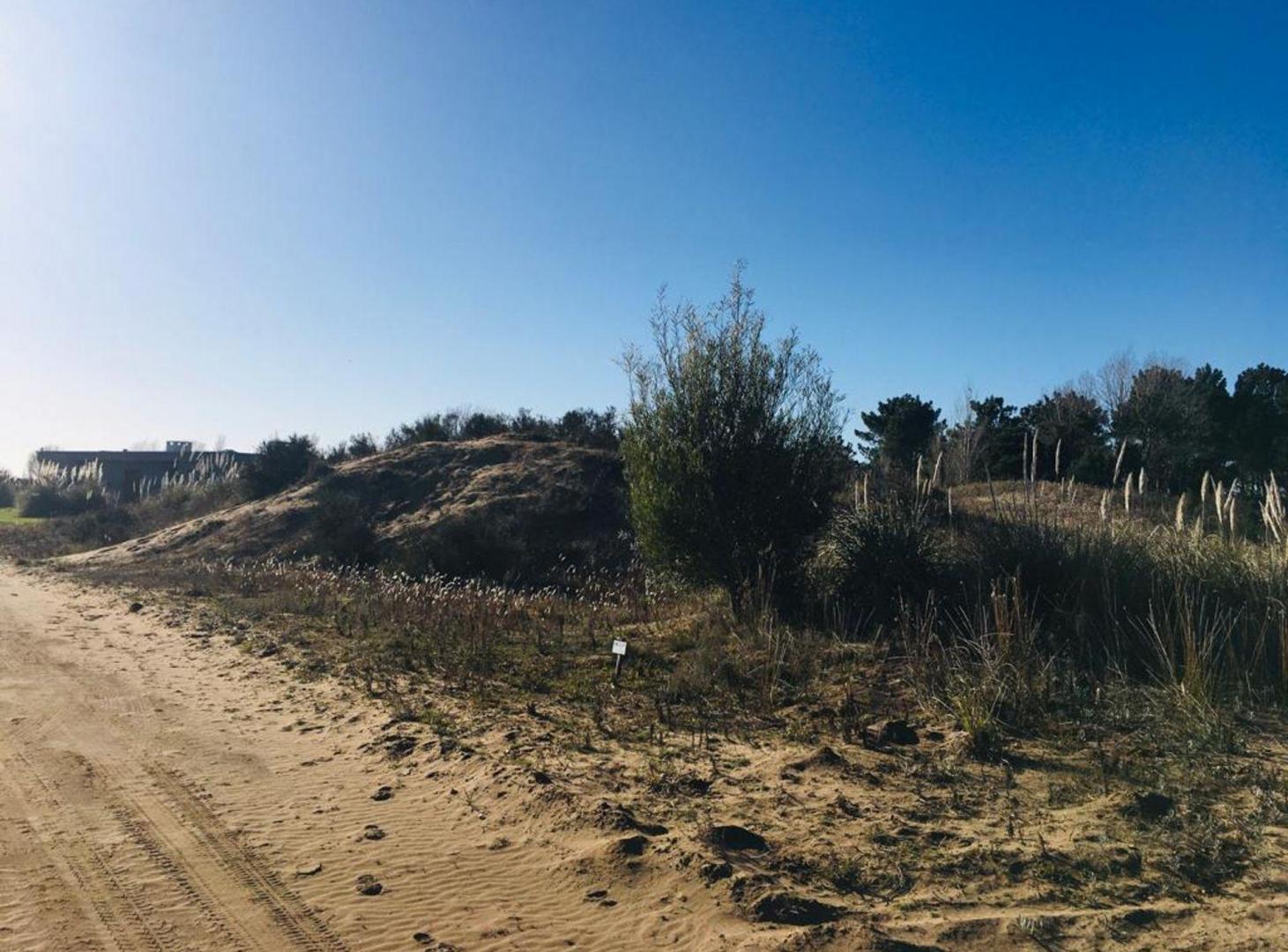 Foto de VENTA DE LOTE EN VILLA GESELL- BARRIO EL SALVAJE, imagen 2