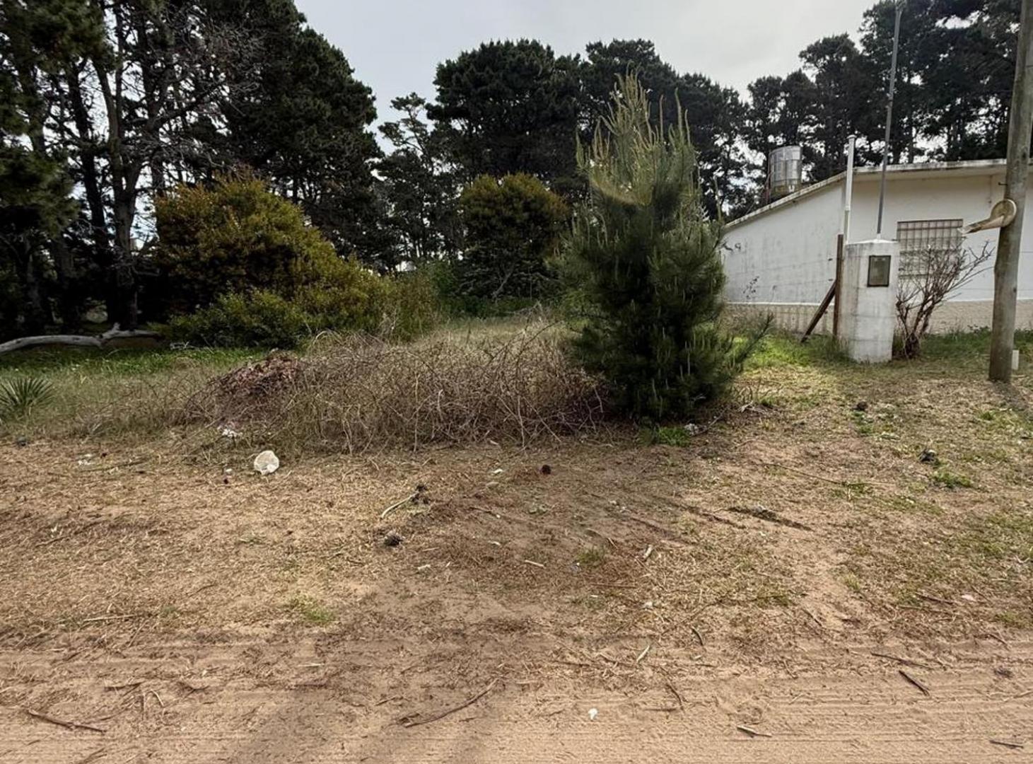 Foto de VENTA Lote 500 m² en Nueva Atlantis, imagen 2