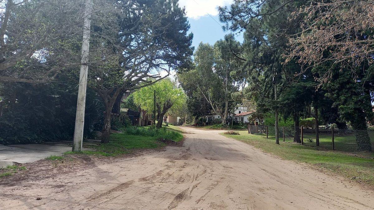Foto de Departamento en Venta en Villa Gesell 3 ambientes, imagen 4