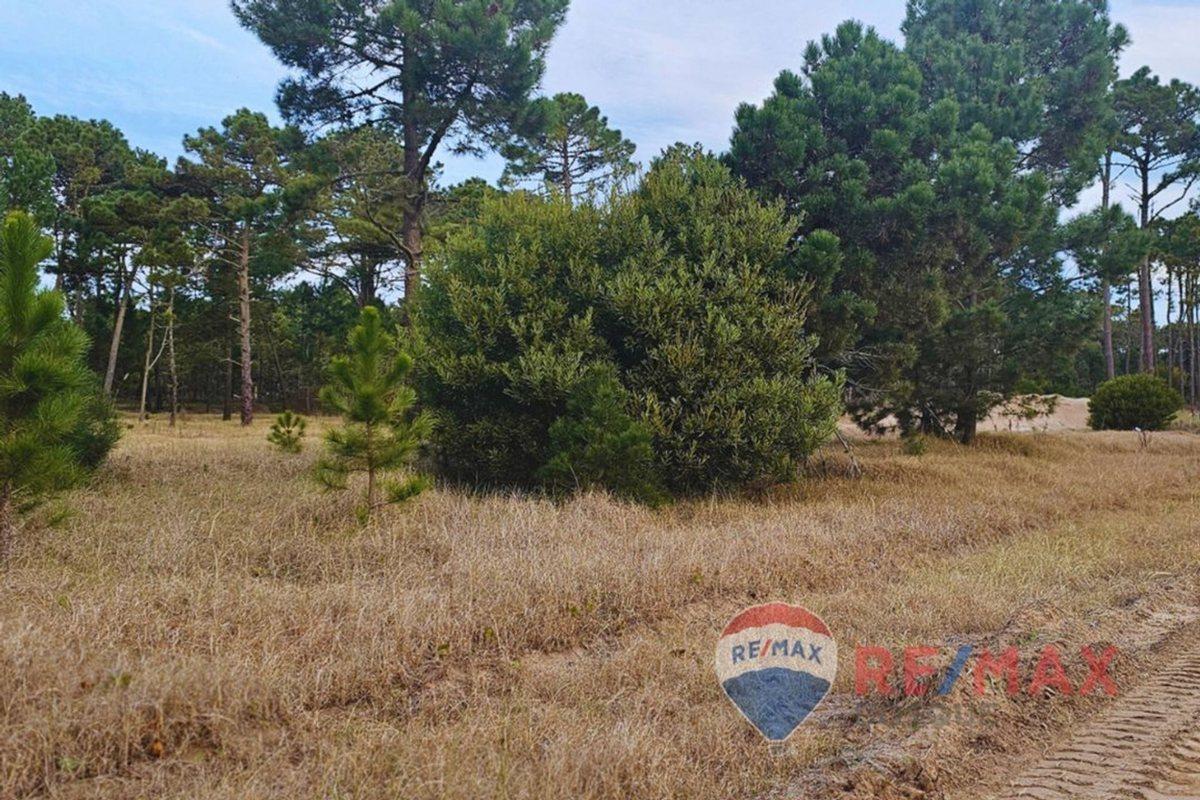 Foto de Lote Venta Pinamar Barrio Bosques Norte Privado, imagen 1