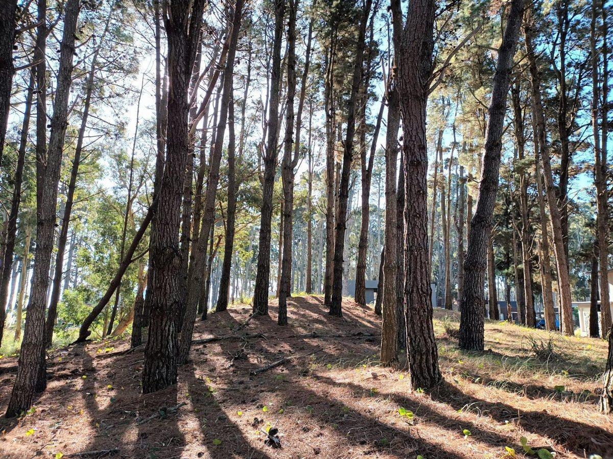 Foto de LOTE EN VENTA COSTA ESMERALDA SECTOR DEPORTIVO, imagen 3