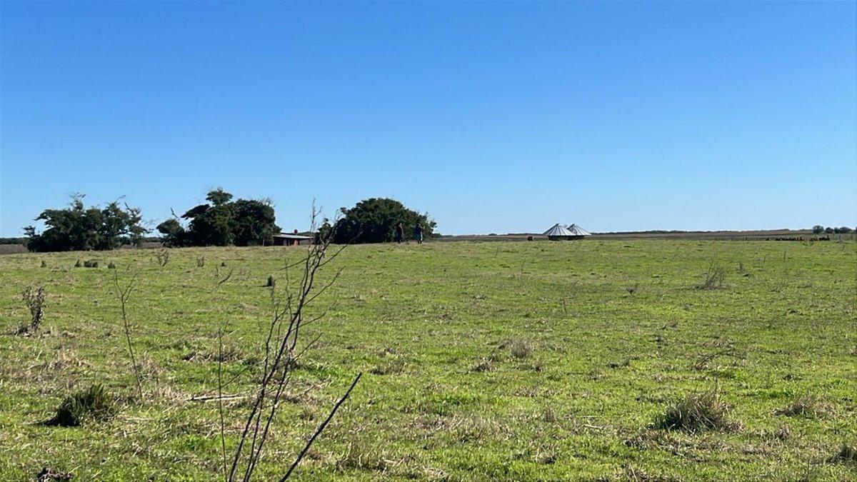 Foto de VENTA DE CHACRA, imagen 4