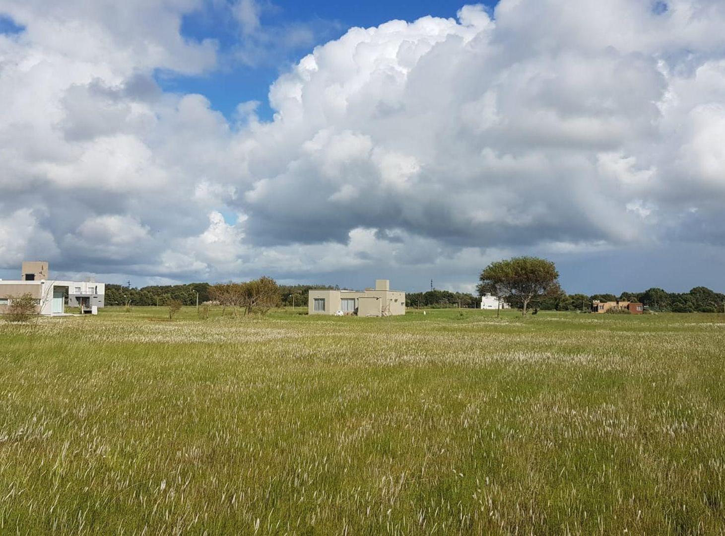 Foto de LOTES EN VENTA EN KM 314, imagen 4