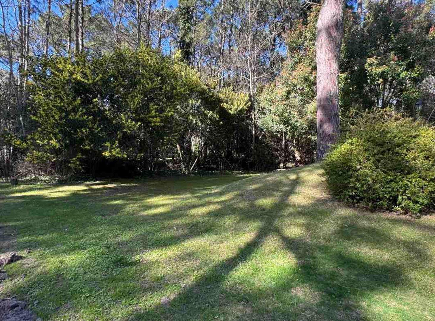 Foto de Excelente Lote en Carilo, imagen 1
