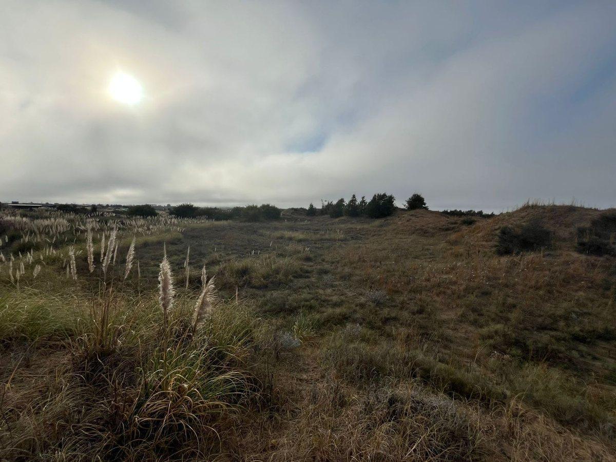 Foto de LOTE EN VENTA EN VILLA GESELL- EL SALVAJE, imagen 4
