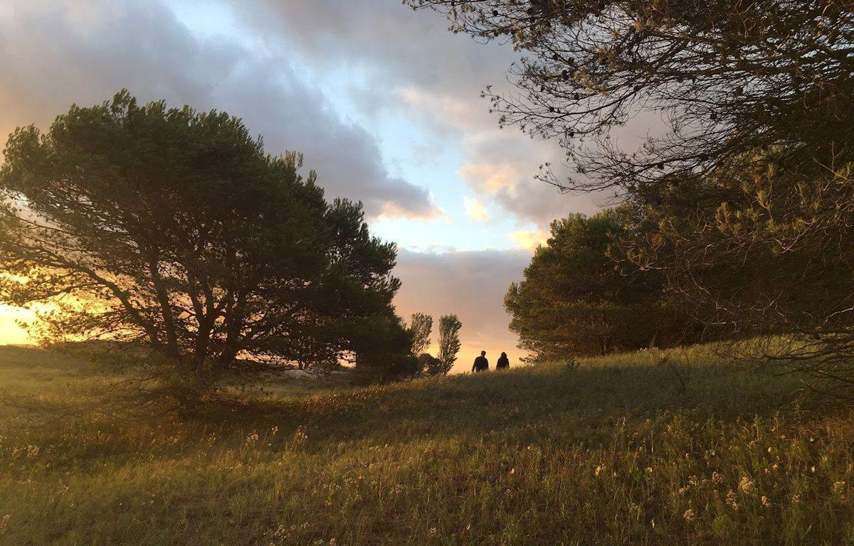 Foto de LOTE EN VENTA EN VILLA GESELL- EL SALVAJE, imagen 2