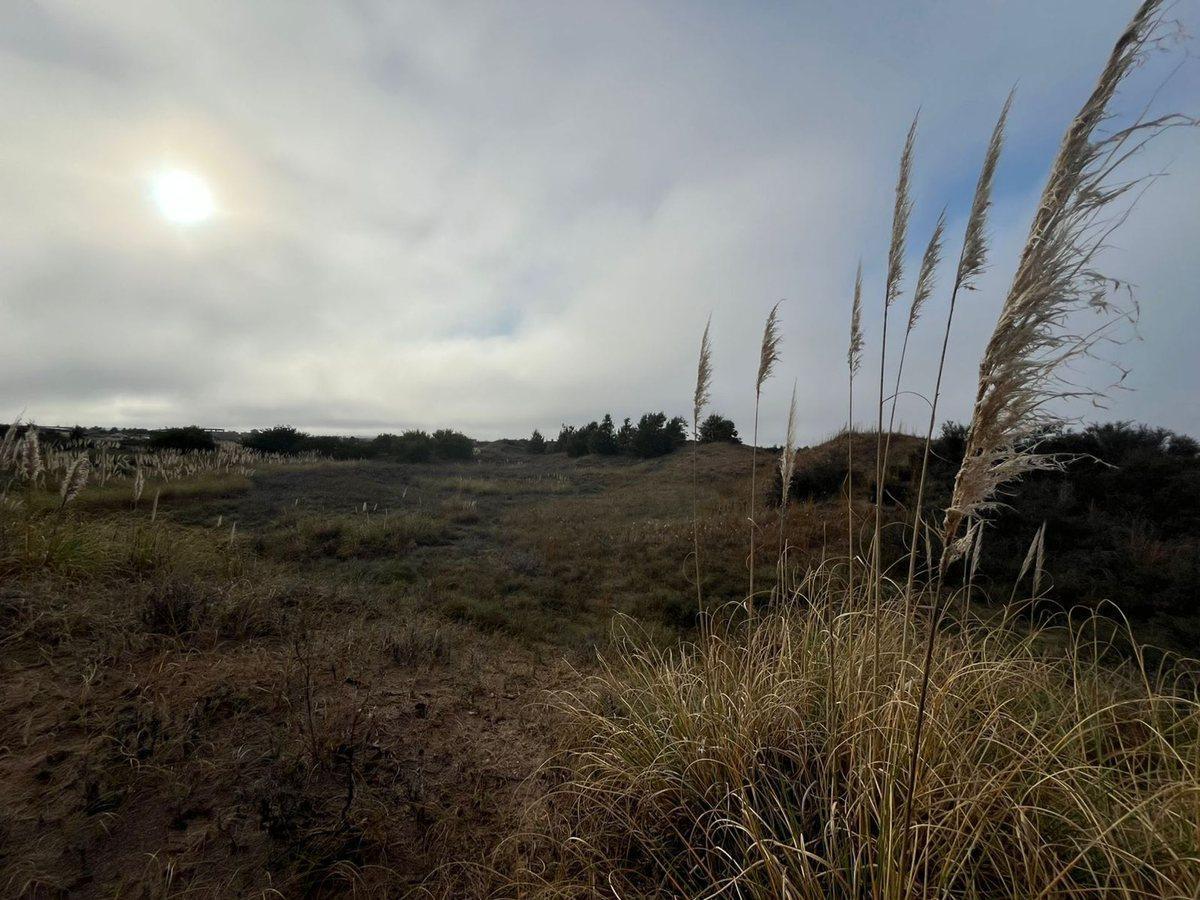 Foto de LOTE EN VENTA EN VILLA GESELL- EL SALVAJE, imagen 1