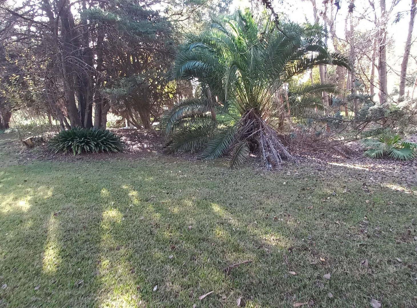 Foto de LOTE VENTA EN CARILO SOBRE AVENIDA DIVISADERO, imagen 4