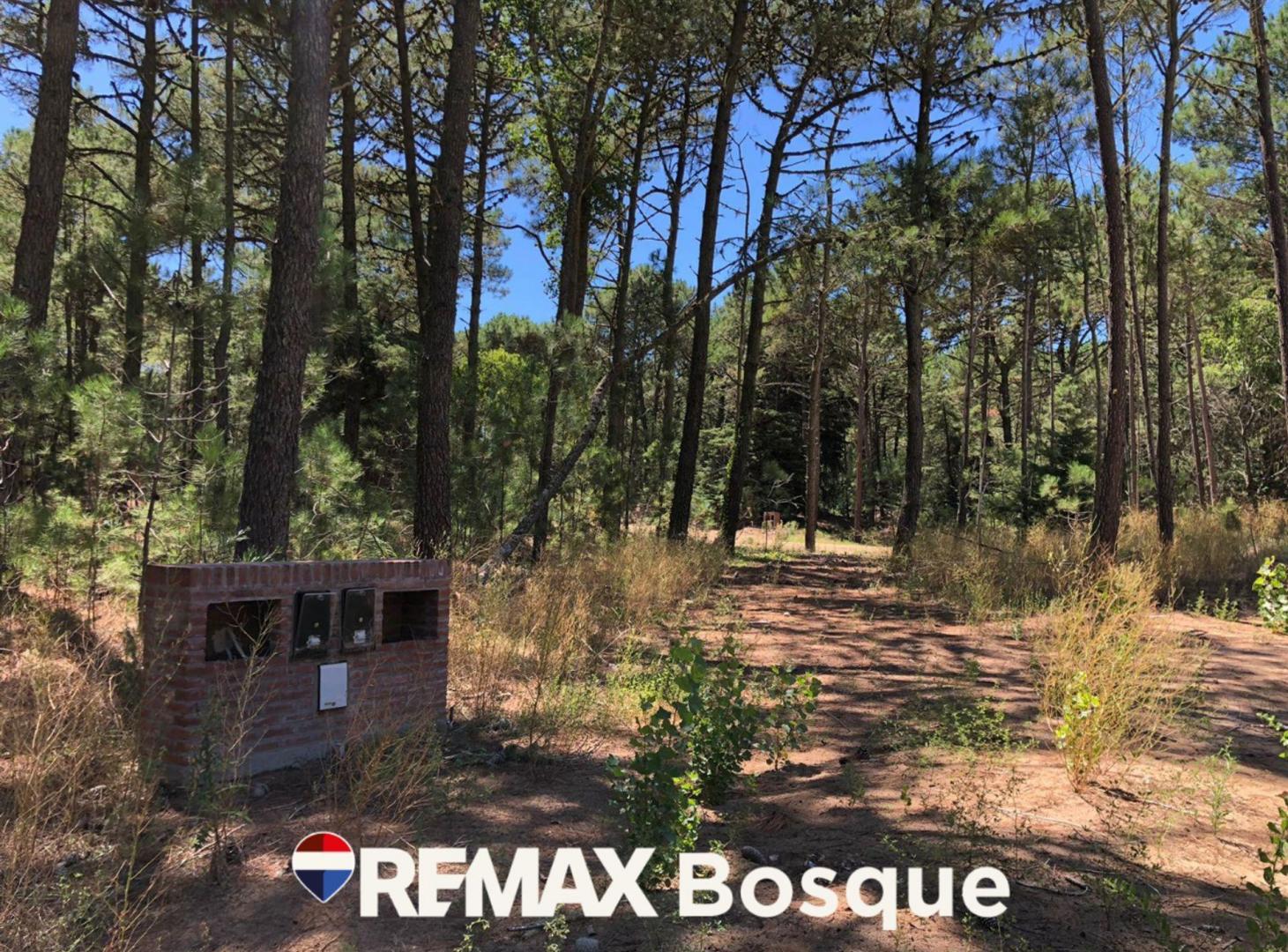 Foto de VENTA TERRENO EN CARILO BARRIO LOS ENEBROS, imagen 1