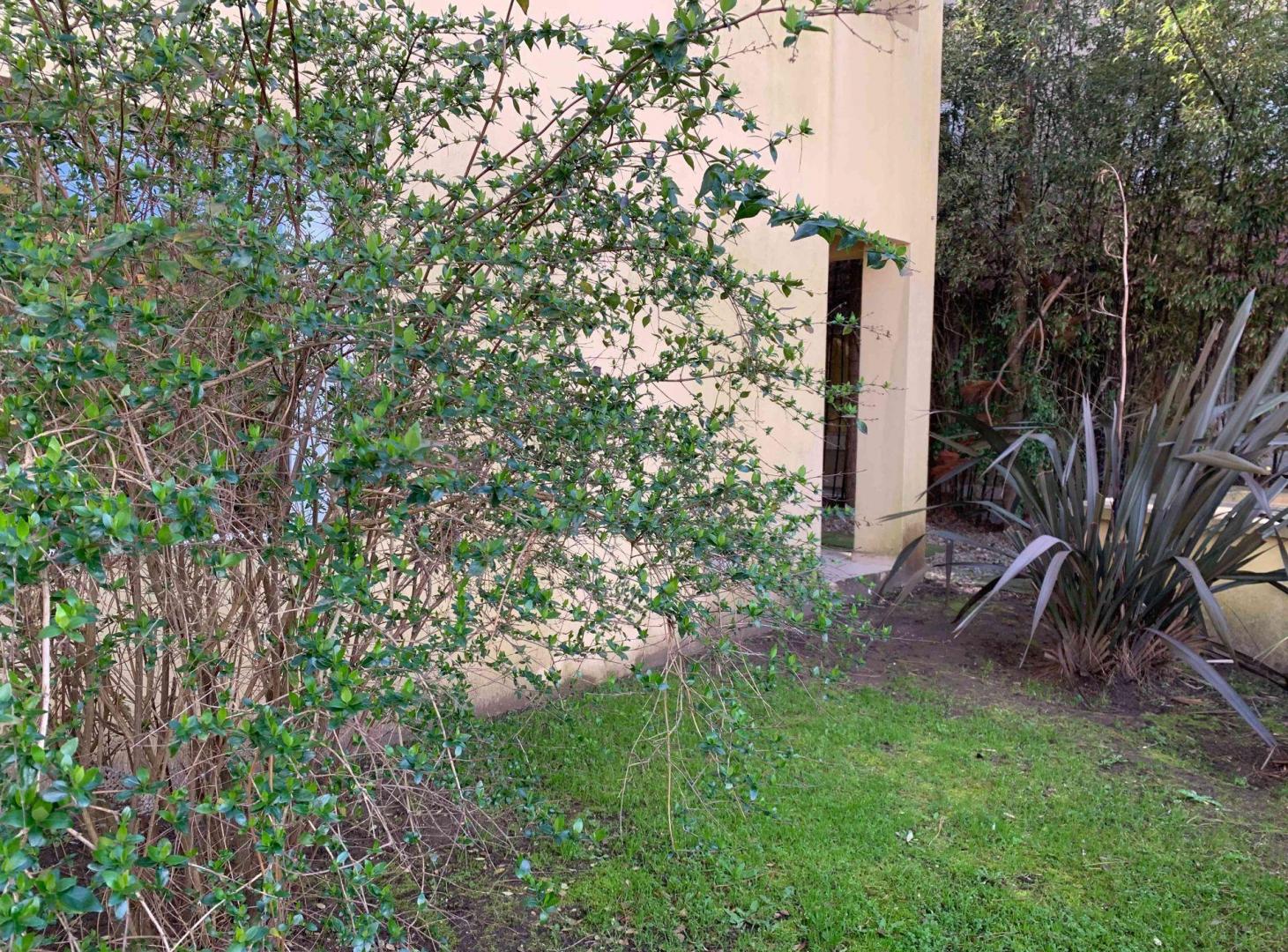 Foto de VENTA DPTO 2 AMBIENTES CON JARDÍN Y PARRILLA, imagen 5