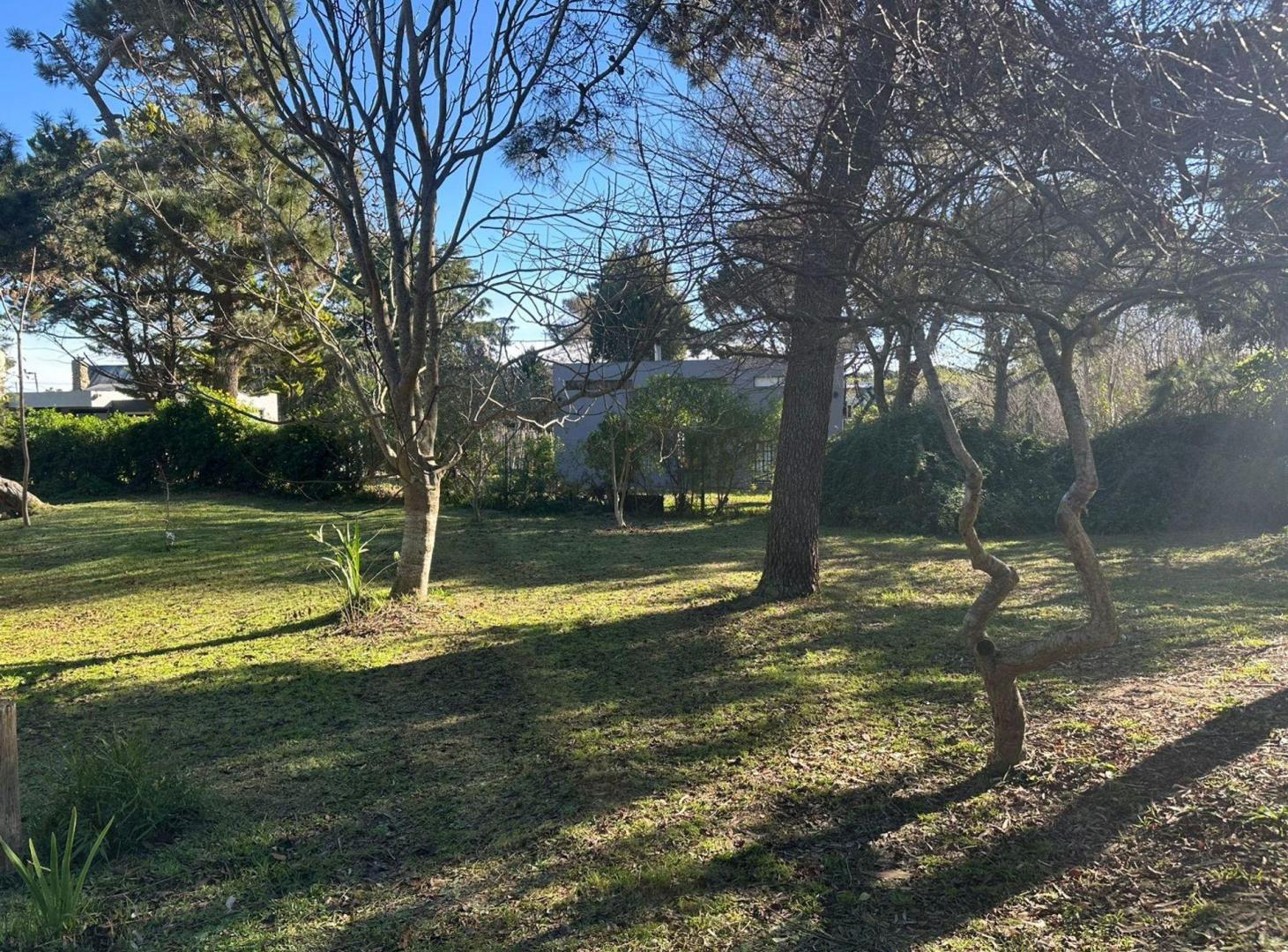 Foto de Venta terreno multifamiliar Colonia Marina Gesell, imagen 4