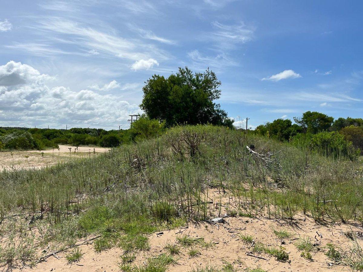 Foto de Lote en venta Costa Esmeralda Senderos IV, imagen 4