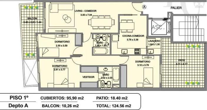 Plano 6