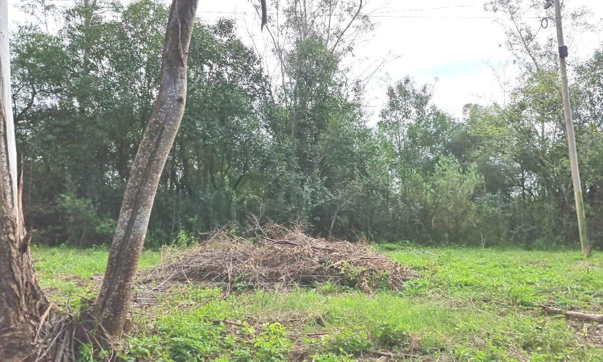 Venta. Lote. ÚNICO BOSQUE Y LAGUNA de fondo de terreno. Chacras del Paraná