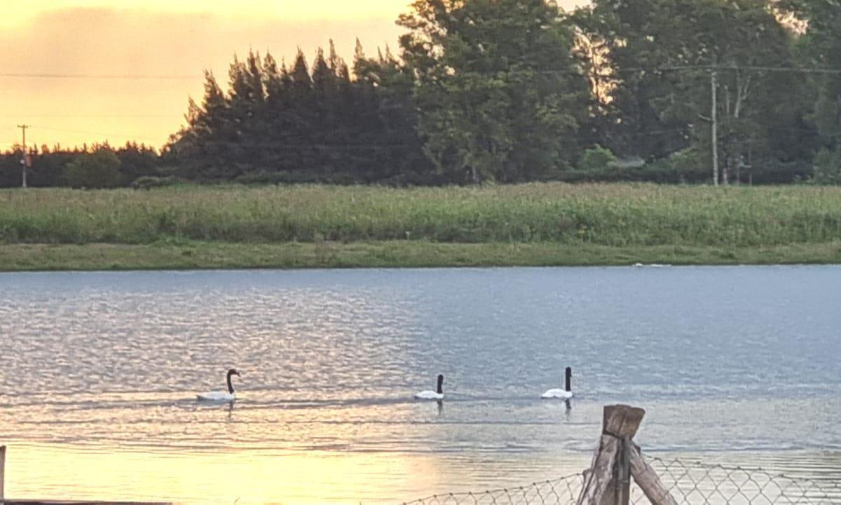 Venta Terreno Lote UNICO SOBRE LAGUNA Chacras del Paraná. Zárate. Buenos Aires