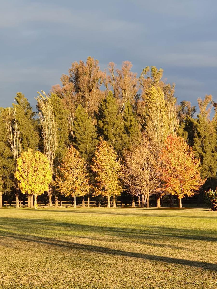 Venta Terreno Lote UNICO SOBRE LAGUNA Chacras del Paraná. Zárate. Buenos Aires