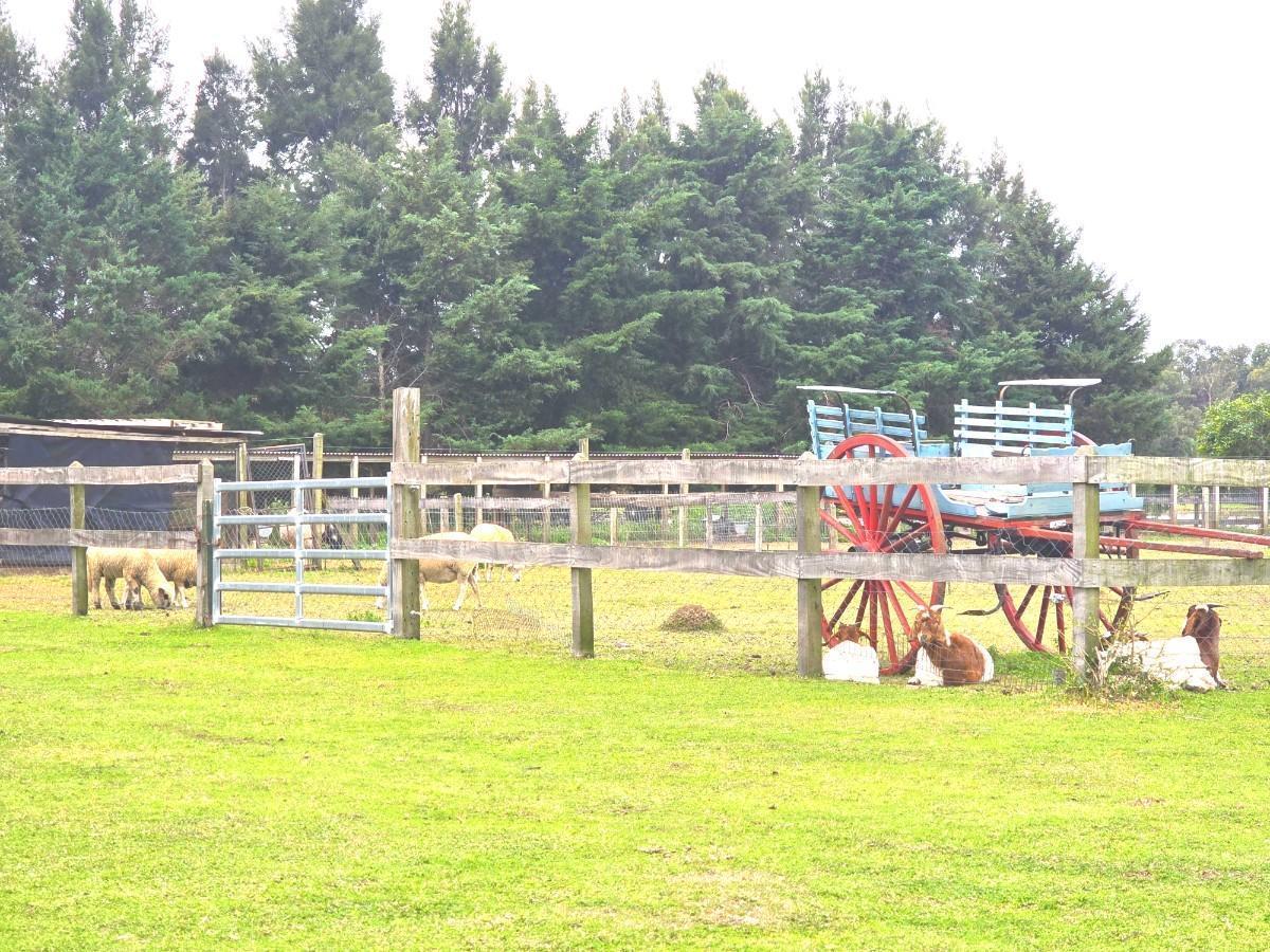 Venta casa en una planta. Terreno sobre laguna! Caballeriza. Chacras del Paraná. Seguridad 24 hs.