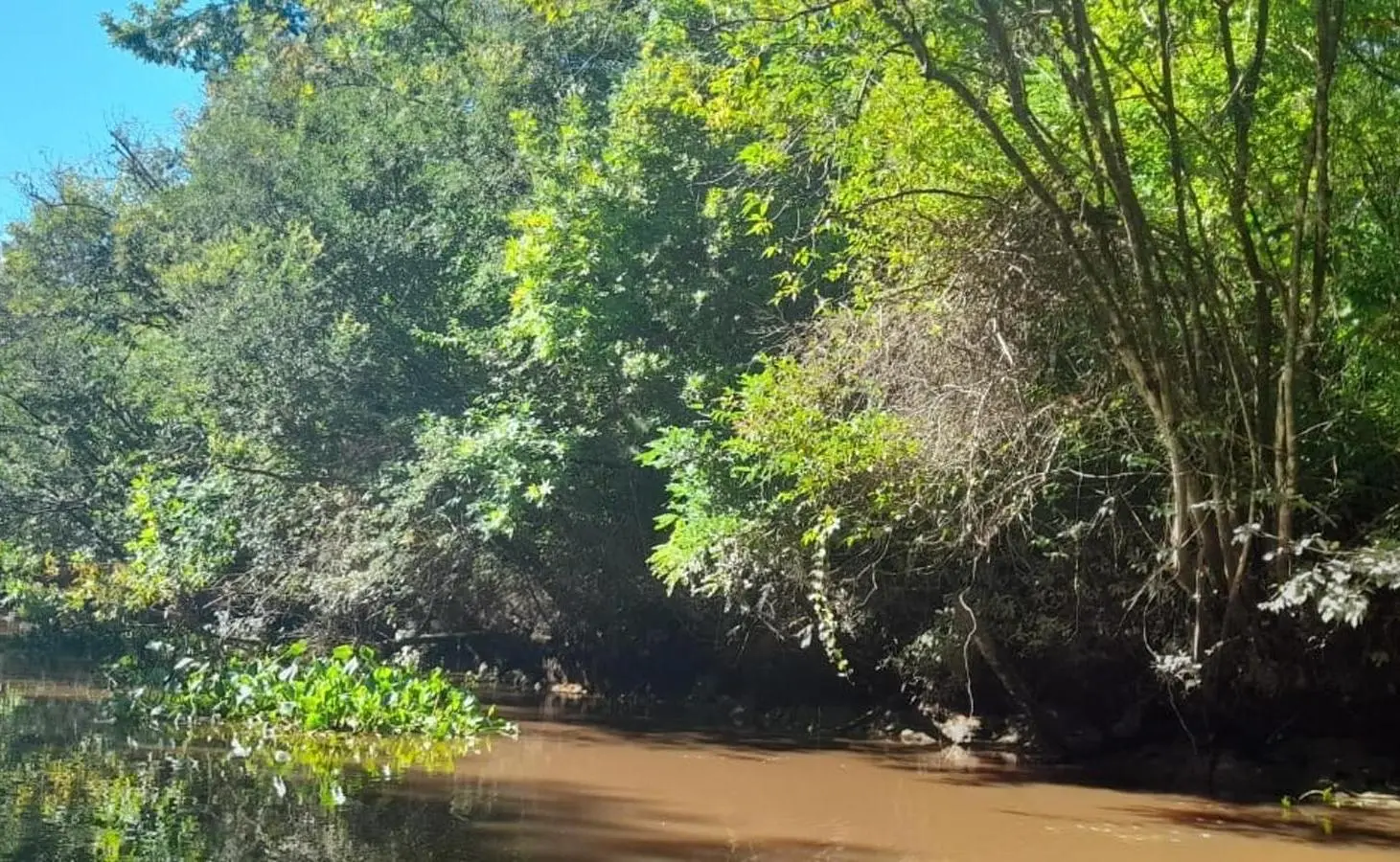 Venta fraccion Rio Carabelas 1900 2