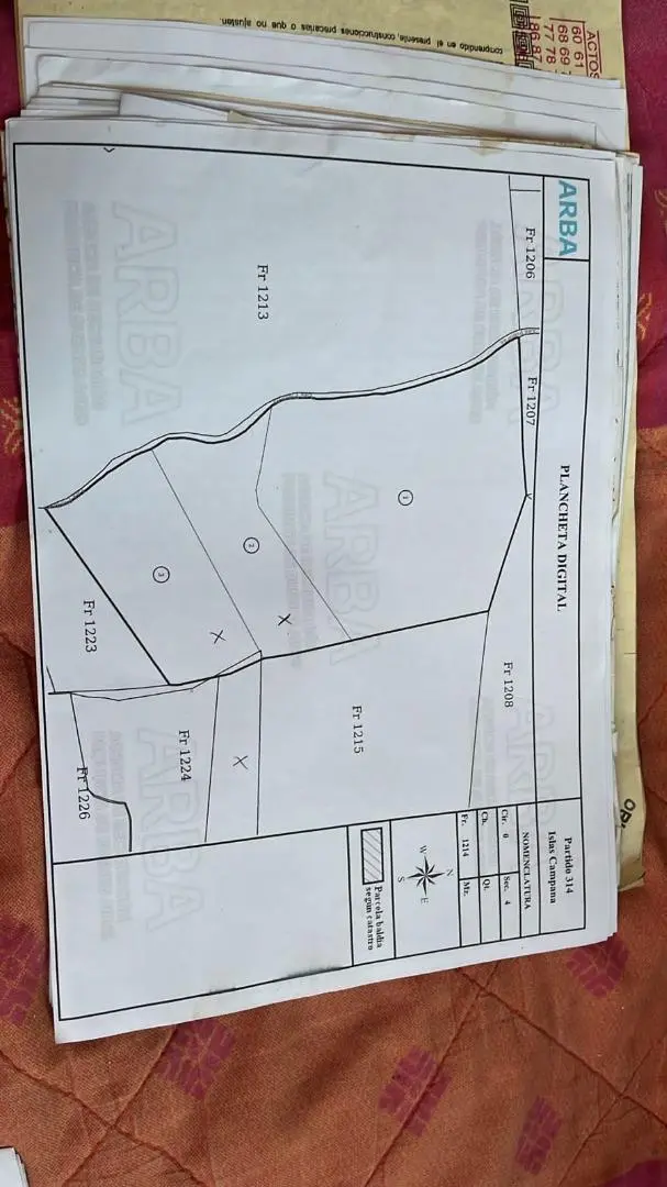 Plano 1