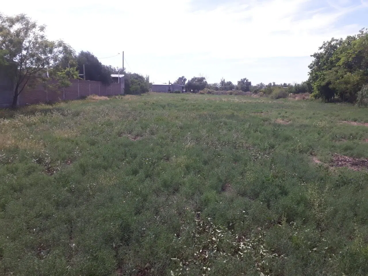 Lote / Terreno en Rama Caída , SAN RAFAEL - MENDOZA - IDEAL CABAÑAS 4