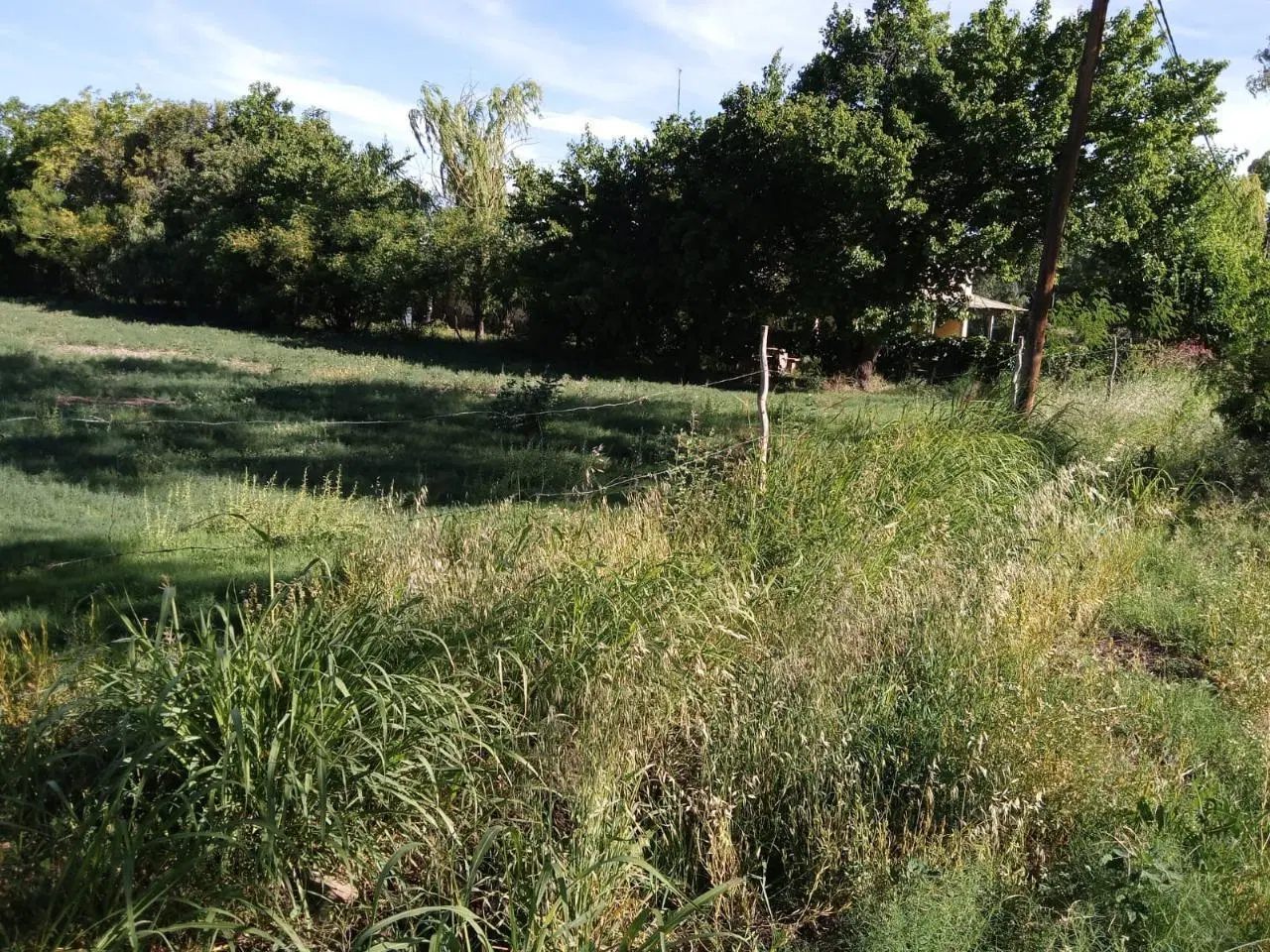 Lote / Terreno en Rama Caída , SAN RAFAEL - MENDOZA - IDEAL CABAÑAS 2