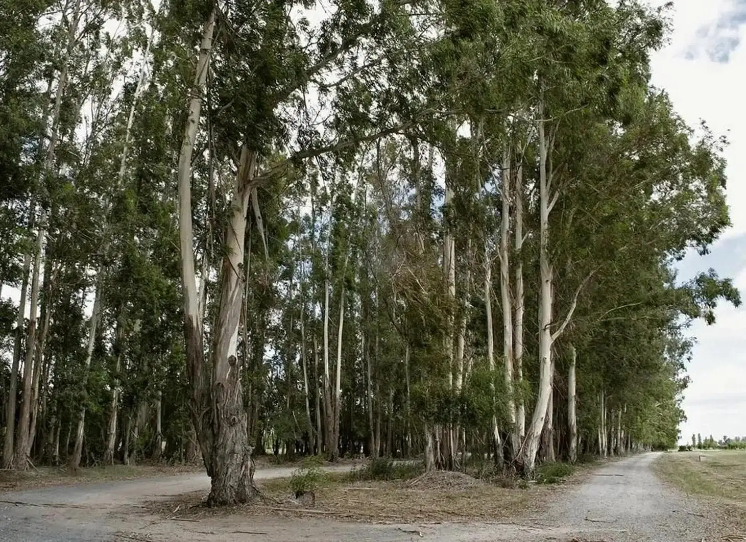 Chacras de la Cruz - Lote - Club de Campo - Capilla del Señor 5