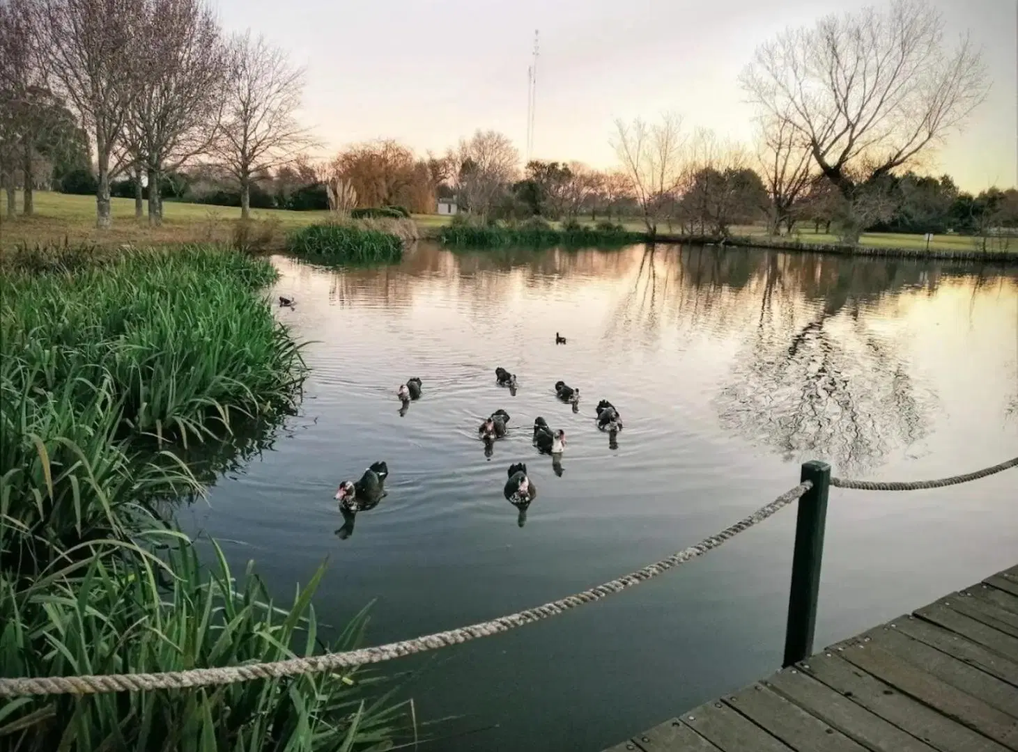 Chacras de la Cruz - Lote - Club de Campo - Capilla del Señor 3