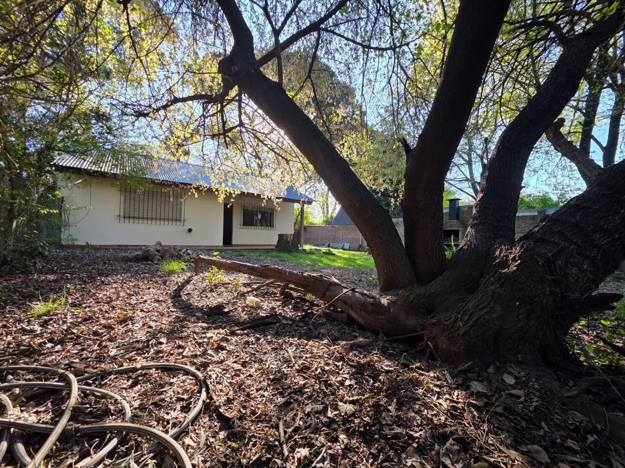 Foto de Venta Casa 2 dorm- Gran terreno- Excelente ubicacion a 4 cuadras de, imagen 4