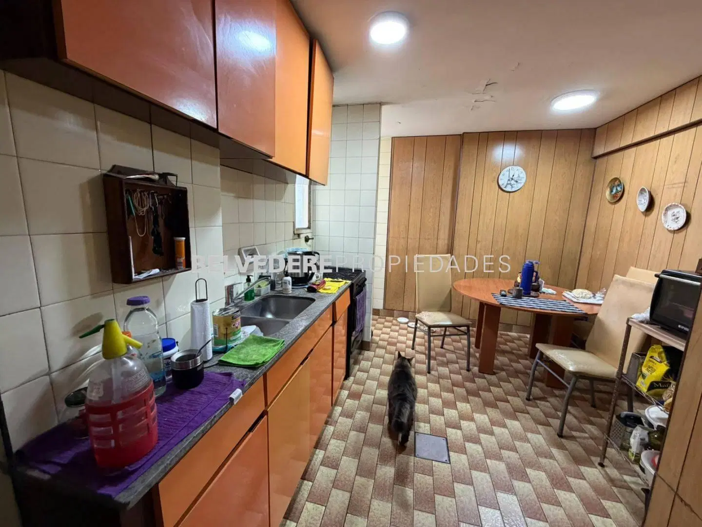 Depto 4 Amb Apto Crédito - Piso 16 - Balcón al Frente - Vista a Plaza - Avellane 4