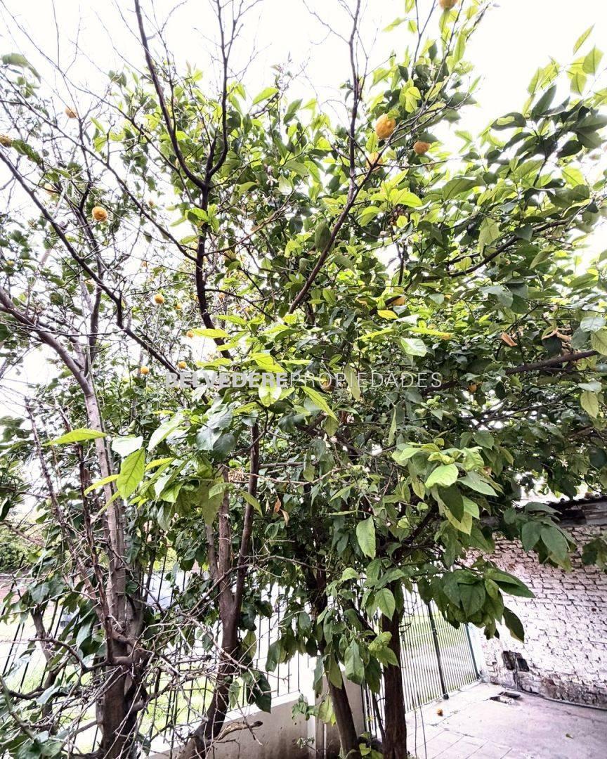 Foto de venta, casa, lote propio, cochera y fondo, imagen 3