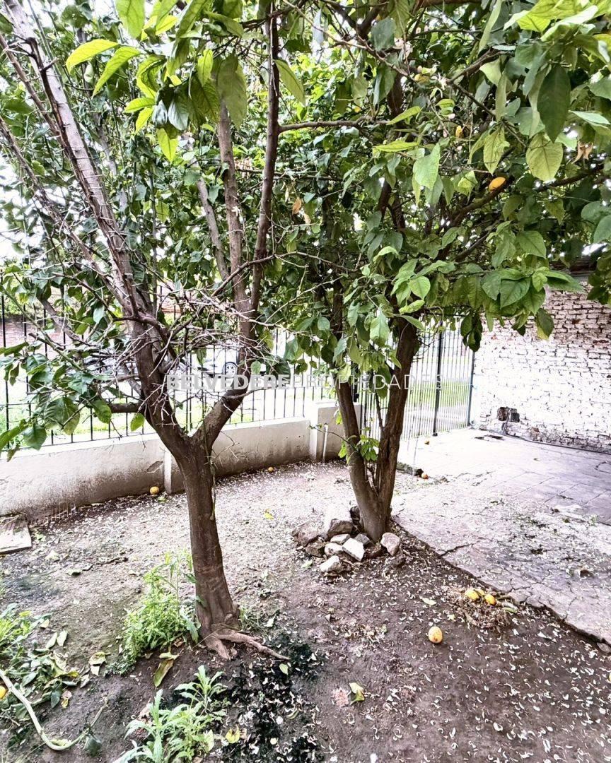 Foto de venta, casa, lote propio, cochera y fondo, imagen 2