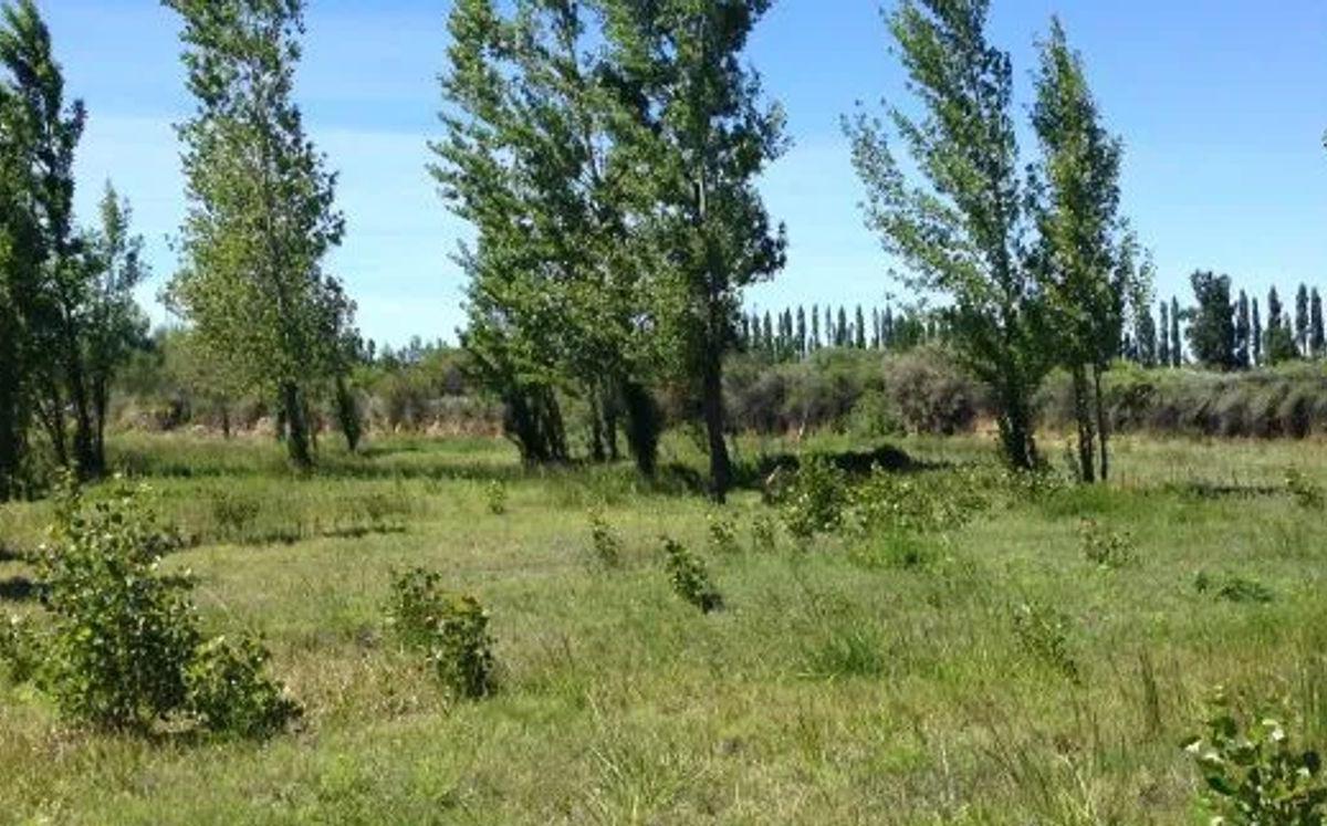 Venta Lote Rincon de Los Patos 3