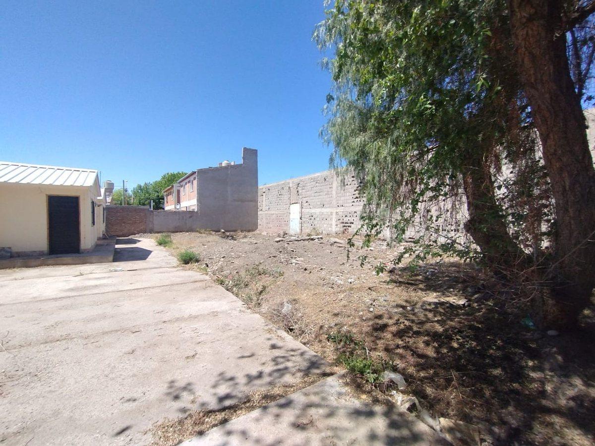 Venta Terreno Rio Negro 950 5