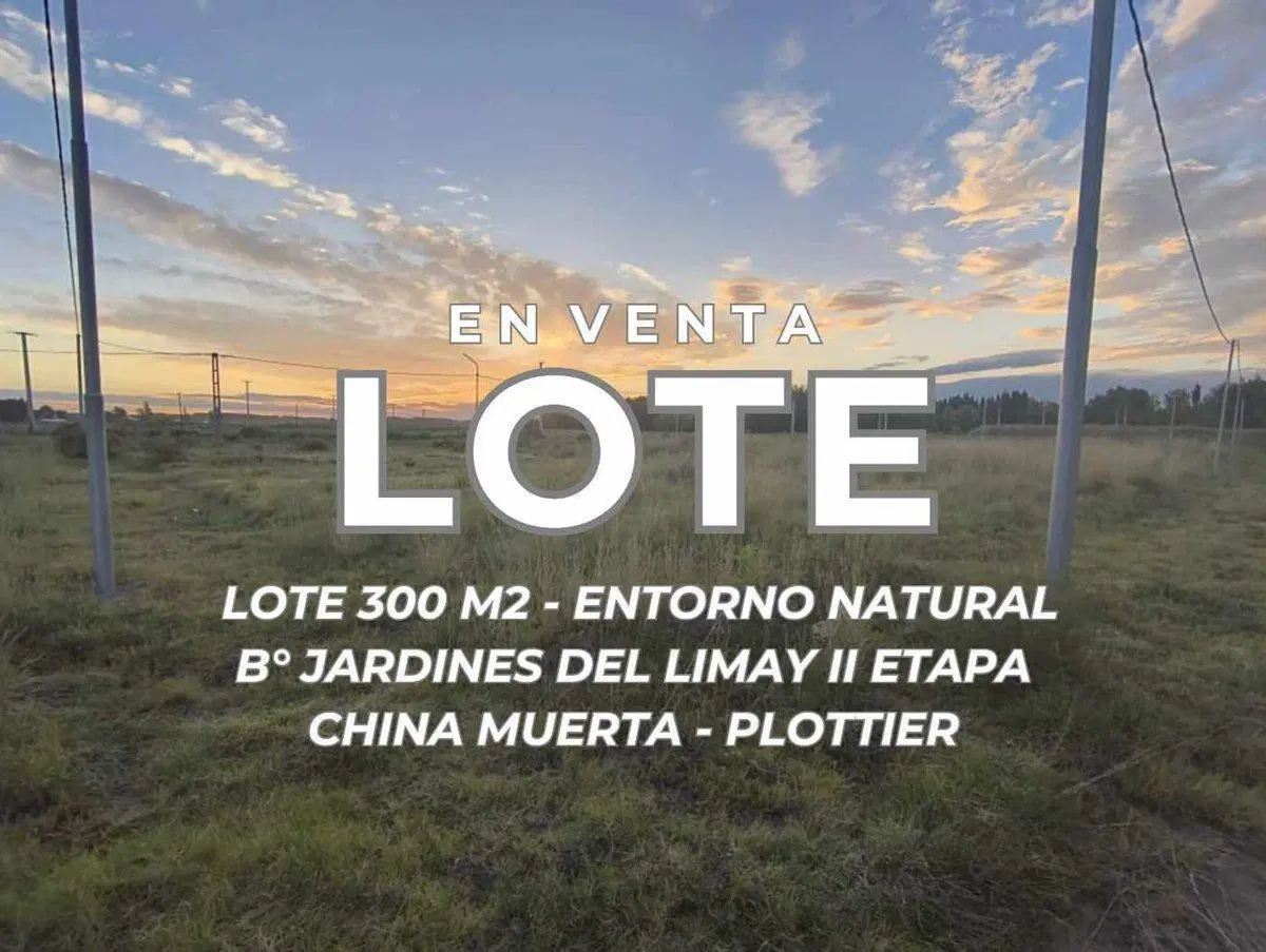 VENTA LOTE B°JARDINES DEL LIMAY CHINA MUERTA 2