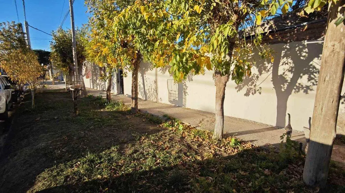 CASA EN PB EN ESQUINA - SATURNINO TORRES Y COLIHUE 2