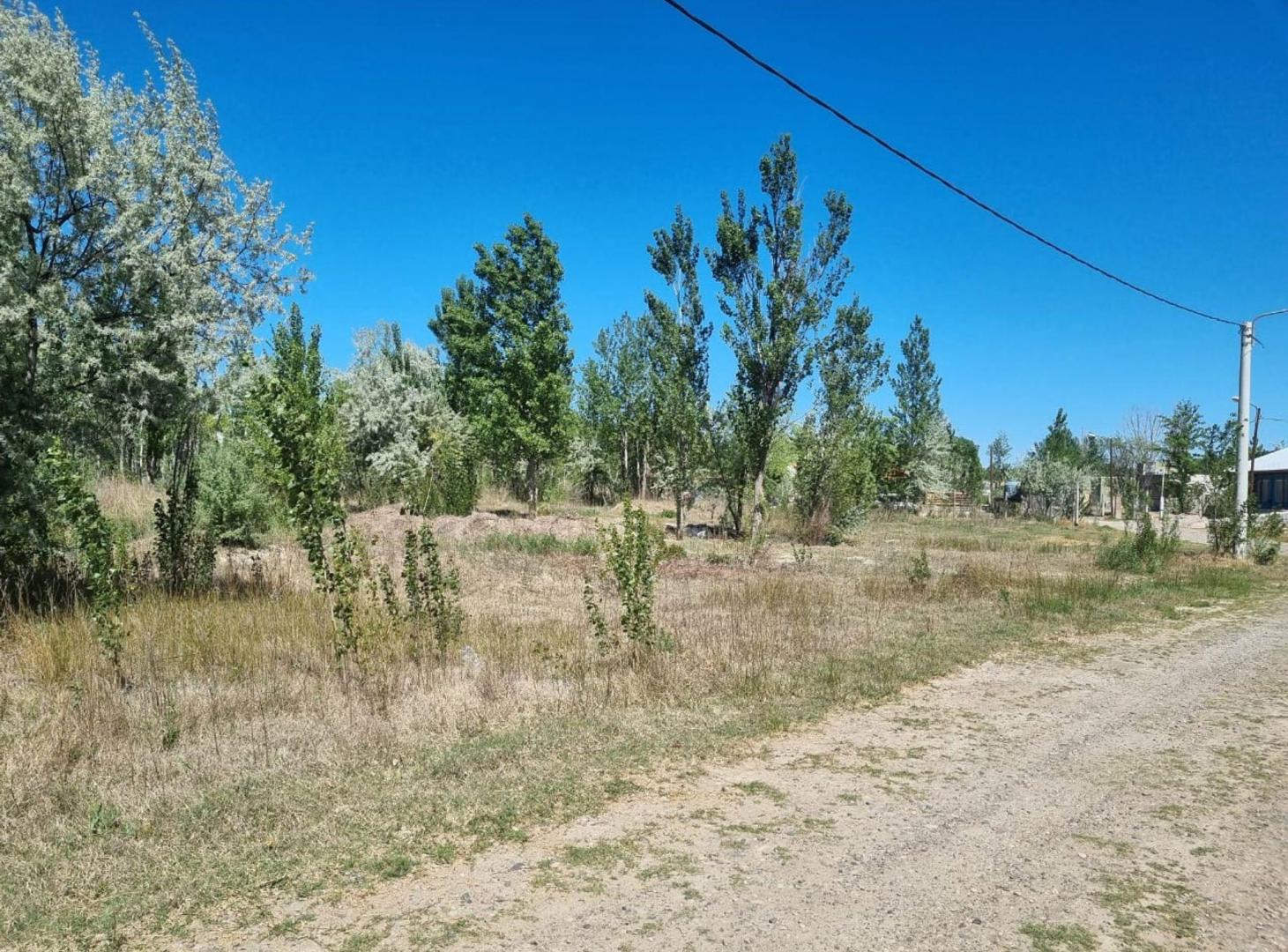 VENTA LOTE RINCON DE LOS PATOS