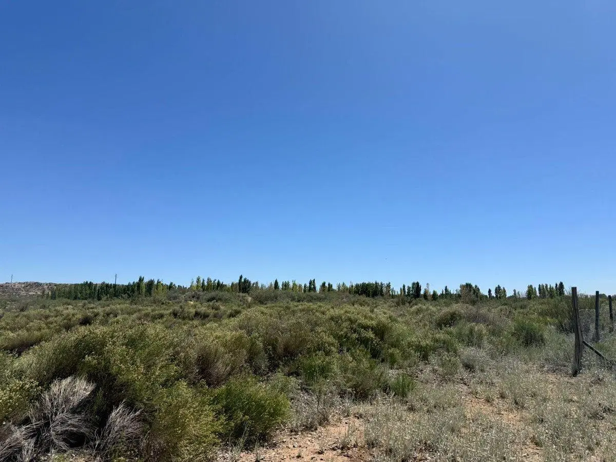 VENTA DE LOTE COLONIA SAN FRANCISCO PLOTTIER 2