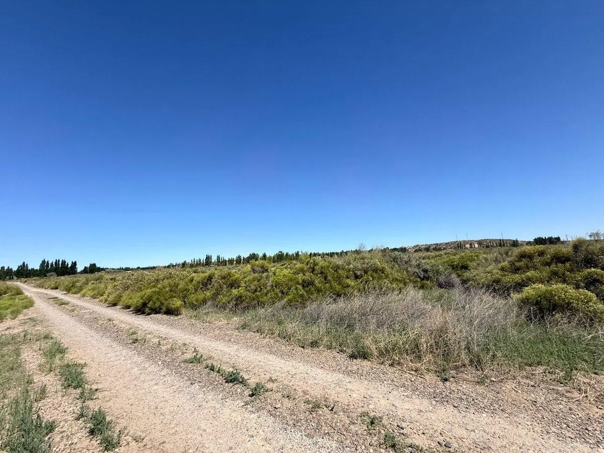 VENTA DE LOTE COLONIA SAN FRANCISCO PLOTTIER 3