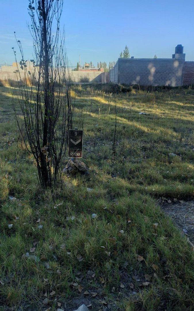 TERRENO EN VENTA, PLOTTIER