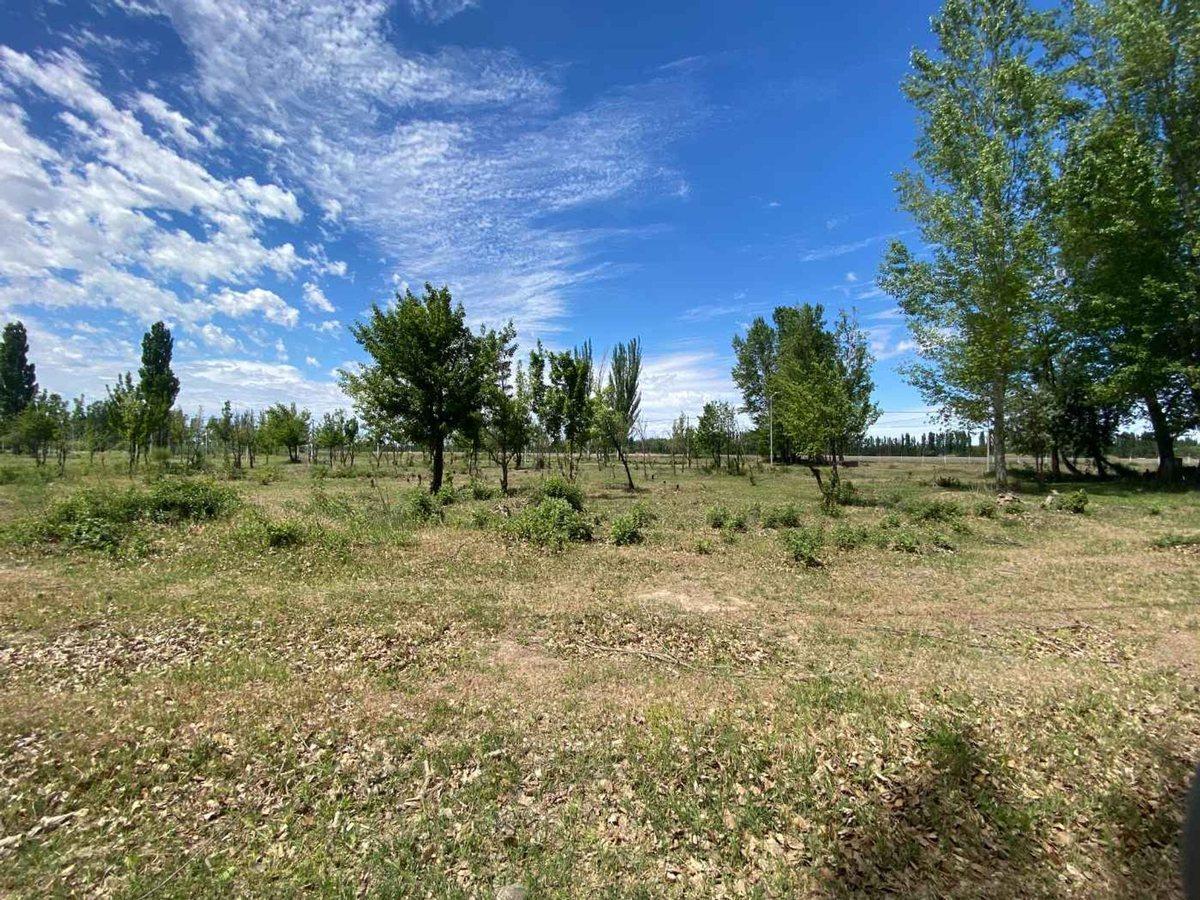 VENTA LOTE LOTEO DON VICENTE