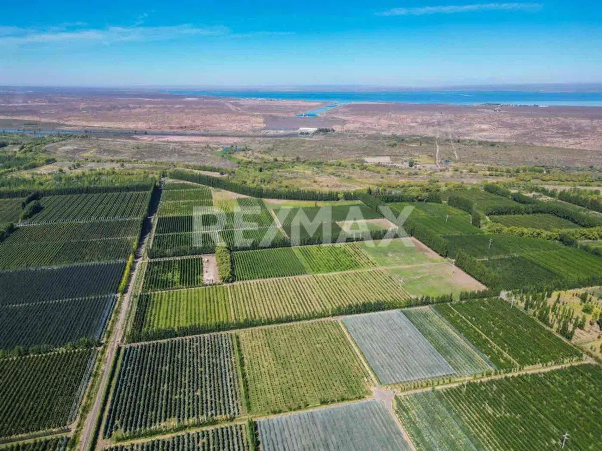 VENTA CHACRA 33,72 HTAS EN PRODUCCION 5
