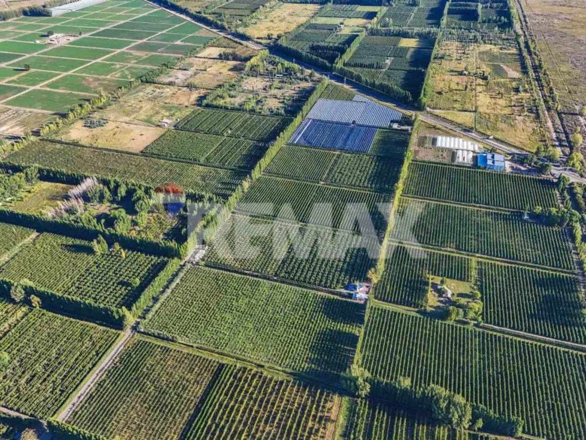 CHACRA PRODUCTIVA DE 19 HECTAREAS - FRENTE DE RUTA 5