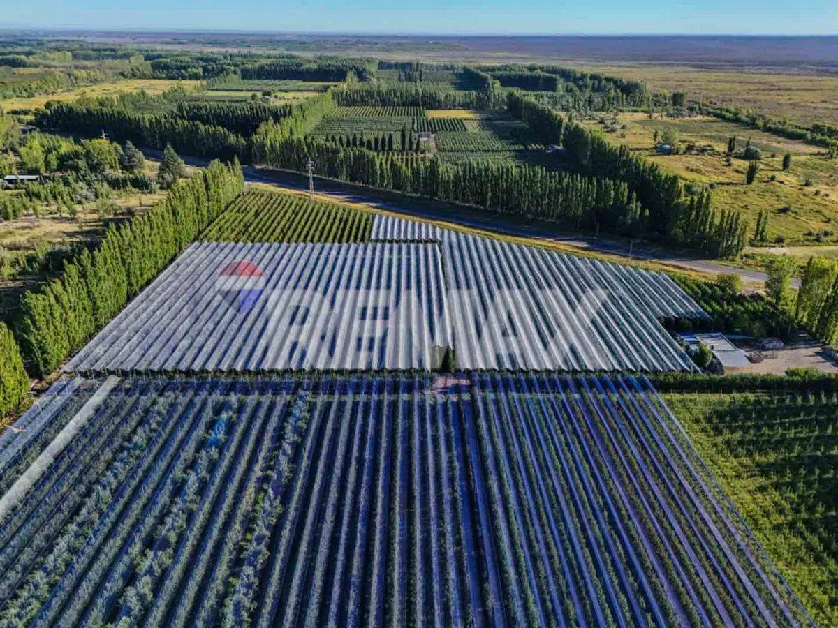 CHACRA PRODUCTIVA DE 19 HECTAREAS - FRENTE DE RUTA 3