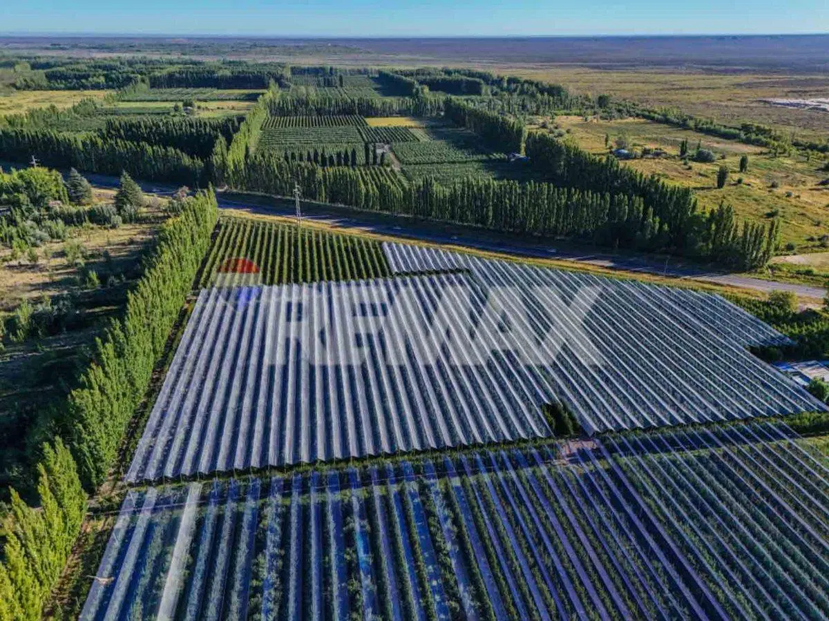 CHACRA PRODUCTIVA DE 19 HECTAREAS - FRENTE DE RUTA 4