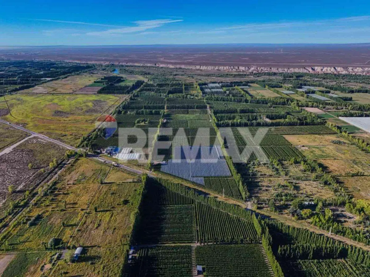 CHACRA PRODUCTIVA DE 19 HECTAREAS - FRENTE DE RUTA 2