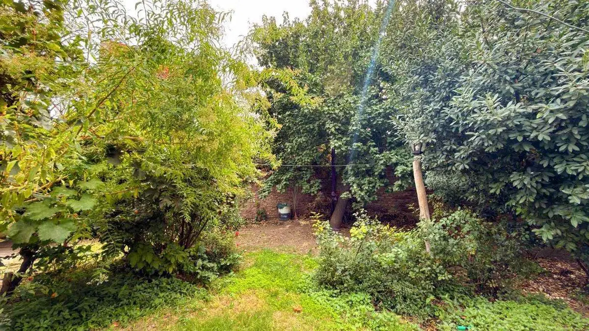 VENTA LOTE APTO DESARROLLO CENTRO DE PLOTTIER 8