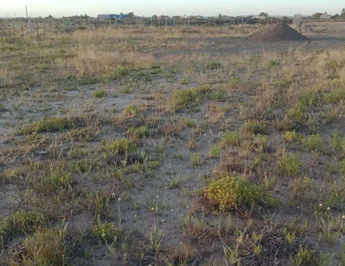 VENTA LOTE EN ESQUINA PLAYAS DORADAS 4