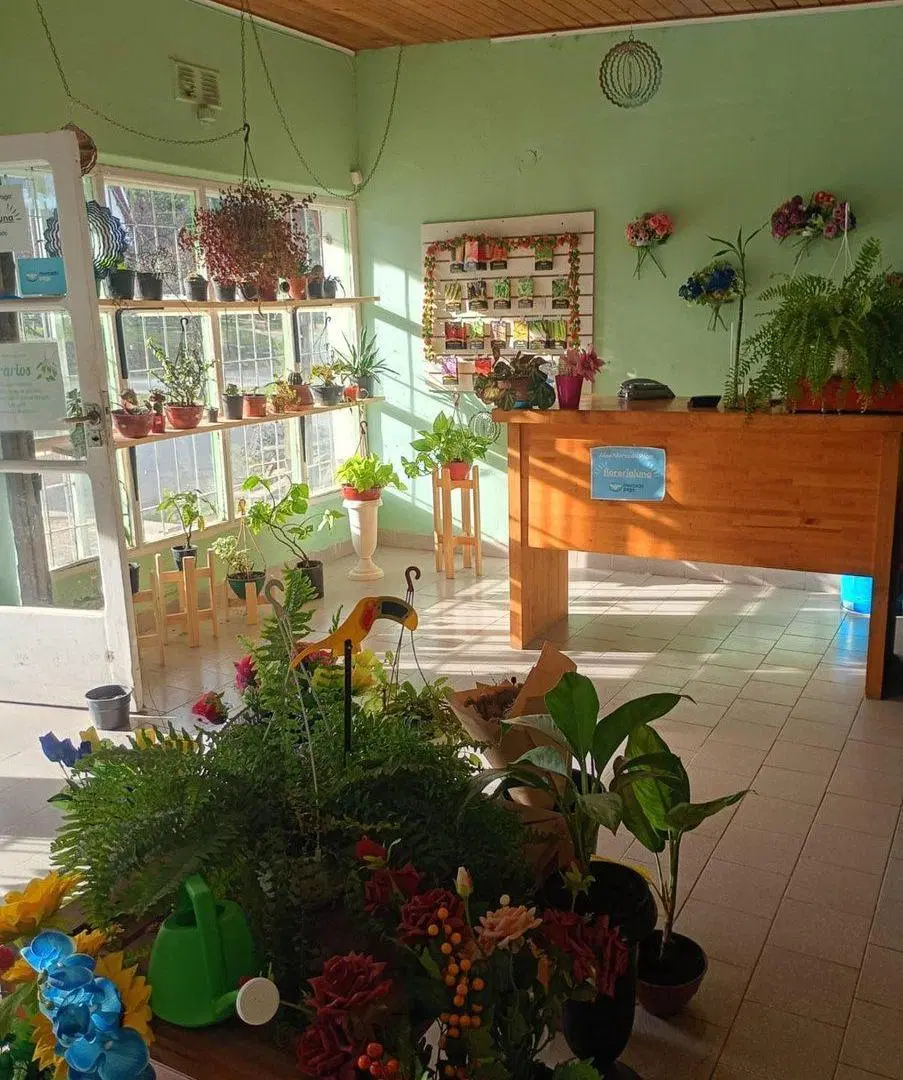 VENTA LOCALES COMERCIALES Y CASA, ALUMINE 4