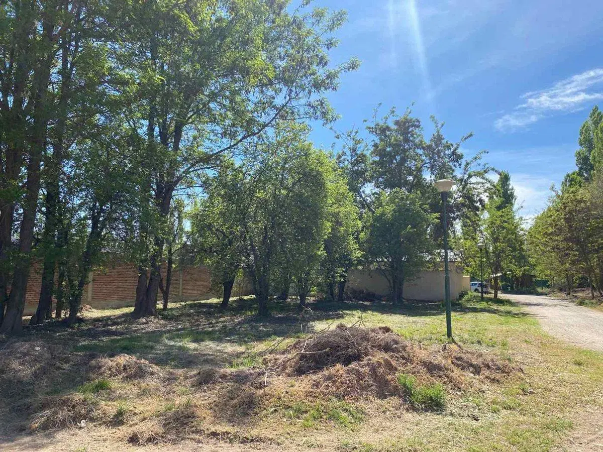 LOTE EN VENTA EN LOTEO SANCHEZ ENTORNO NATURAL 4